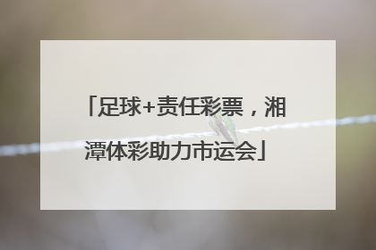 足球+责任彩票，湘潭体彩助力市运会