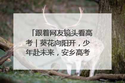 跟着网友镜头看高考｜葵花向阳开，少年赴未来，安乡高考首日的希望图景