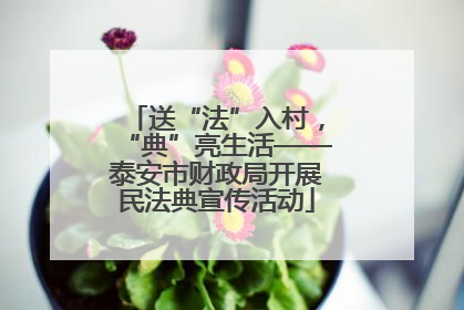 送“法”入村，“典”亮生活——泰安市财政局开展民法典宣传活动