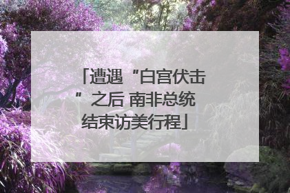 遭遇“白宫伏击”之后 南非总统结束访美行程