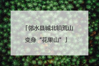 邻水县城北镇荒山变身“花果山”