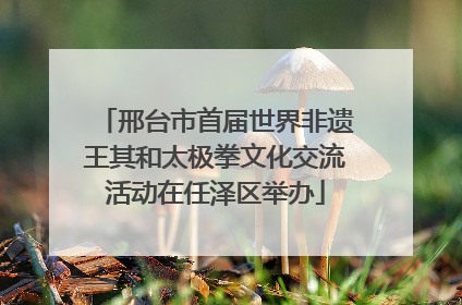 邢台市首届世界非遗王其和太极拳文化交流活动在任泽区举办