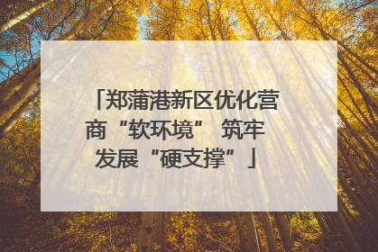 郑蒲港新区优化营商“软环境” 筑牢发展“硬支撑”