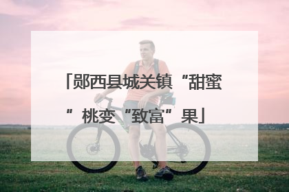 郧西县城关镇“甜蜜”桃变“致富”果