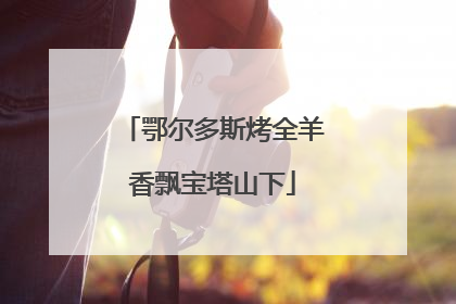 鄂尔多斯烤全羊香飘宝塔山下