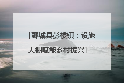 鄄城县彭楼镇：设施大棚赋能乡村振兴