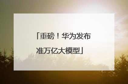 重磅！华为发布准万亿大模型