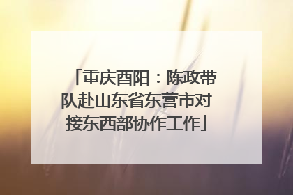 重庆酉阳：陈政带队赴山东省东营市对接东西部协作工作
