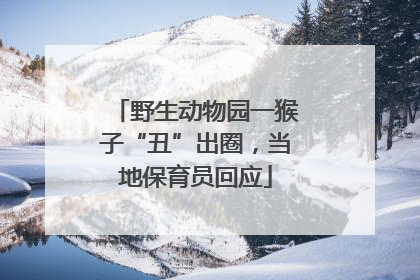 野生动物园一猴子“丑”出圈，当地保育员回应