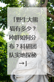 野生大熊猫有多少？种群如何分布？科研团队实地探秘→