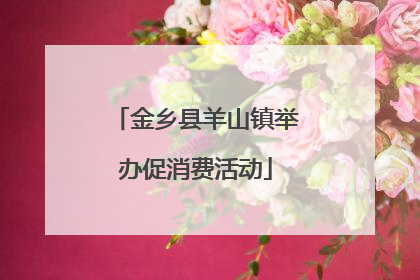 金乡县羊山镇举办促消费活动