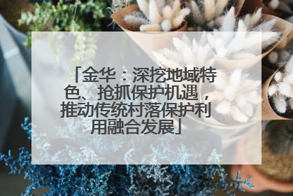 金华：深挖地域特色、抢抓保护机遇，推动传统村落保护利用融合发展