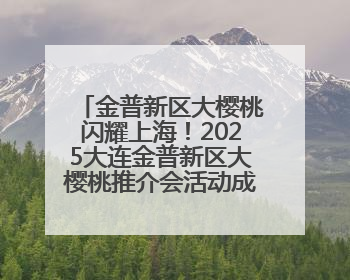 金普新区大樱桃闪耀上海！2025大连金普新区大樱桃推介会活动成功举办！