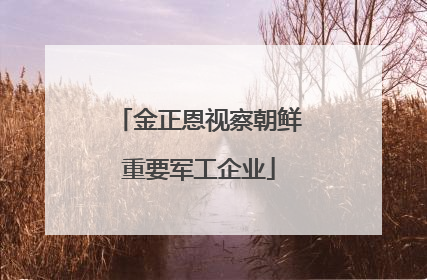 金正恩视察朝鲜重要军工企业