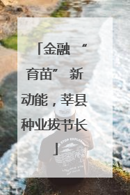 金融 “育苗” 新动能，莘县种业拔节长