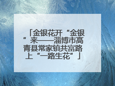 金银花开“金银”来——淄博市高青县常家镇共富路上“一路生花”