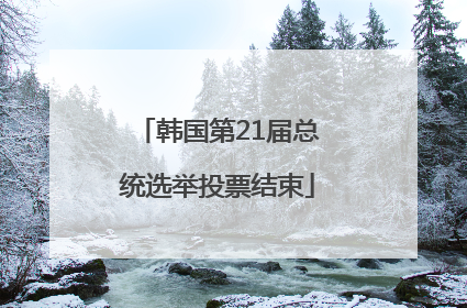 韩国第21届总统选举投票结束