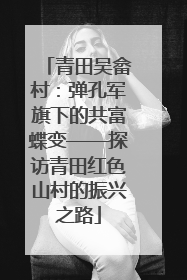 青田吴畲村：弹孔军旗下的共富蝶变——探访青田红色山村的振兴之路