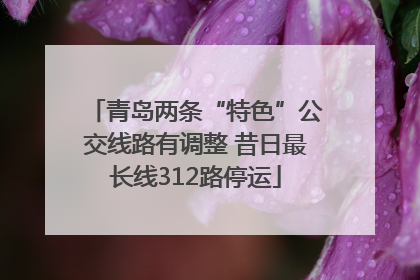 青岛两条“特色”公交线路有调整 昔日最长线312路停运