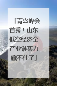 青岛峰会首秀！山东低空经济全产业链实力藏不住了