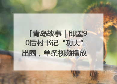 青岛故事｜即墨90后村书记“功夫”出圈，单条视频播放量过600万