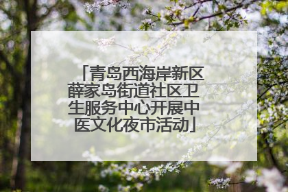 青岛西海岸新区薛家岛街道社区卫生服务中心开展中医文化夜市活动