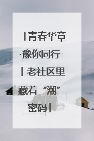 青春华章·豫你同行丨老社区里藏着“潮”密码