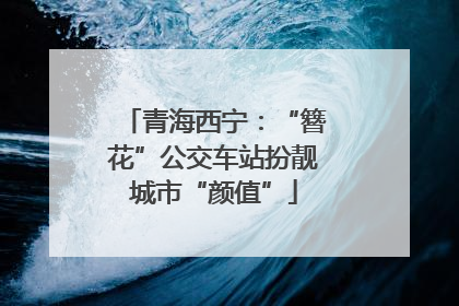 青海西宁：“簪花”公交车站扮靓城市“颜值”