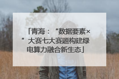 青海：“数据要素×”大赛七大赛题构建绿电算力融合新生态