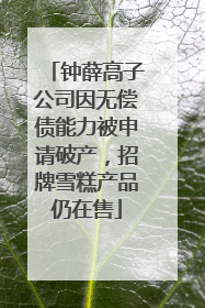 钟薛高子公司因无偿债能力被申请破产，招牌雪糕产品仍在售