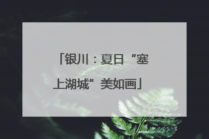 银川：夏日“塞上湖城”美如画