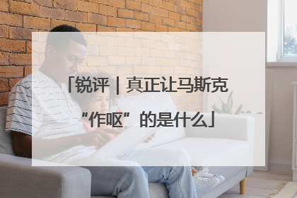 锐评｜真正让马斯克“作呕”的是什么