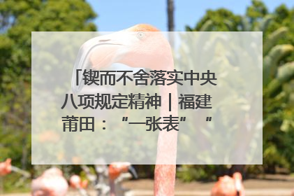 锲而不舍落实中央八项规定精神｜福建莆田：“一张表”“一张图”为基层减轻“数字负担”