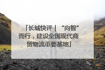 长城快评｜“向智”而行，建设全国现代商贸物流重要基地