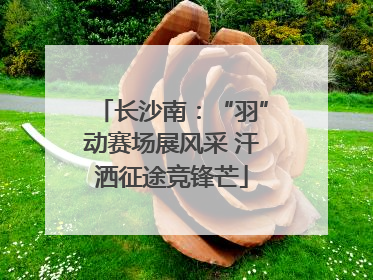 长沙南：“羽”动赛场展风采 汗洒征途竞锋芒