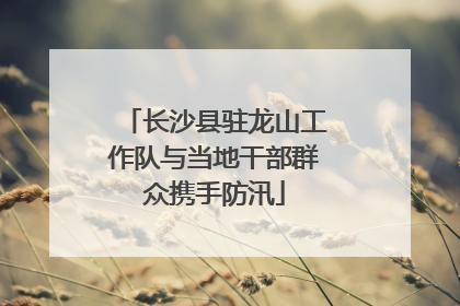 长沙县驻龙山工作队与当地干部群众携手防汛