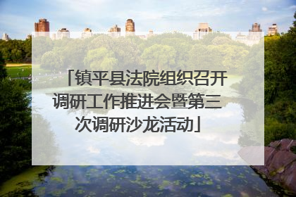 镇平县法院组织召开调研工作推进会暨第三次调研沙龙活动