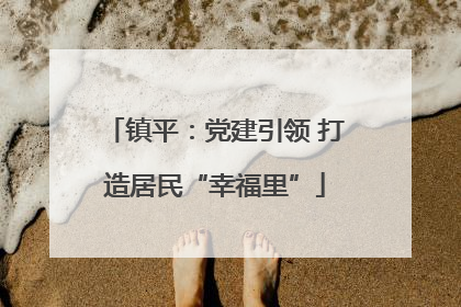 镇平：党建引领 打造居民“幸福里”