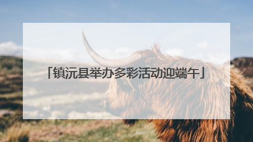 镇沅县举办多彩活动迎端午