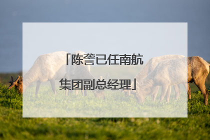 陈詟已任南航集团副总经理