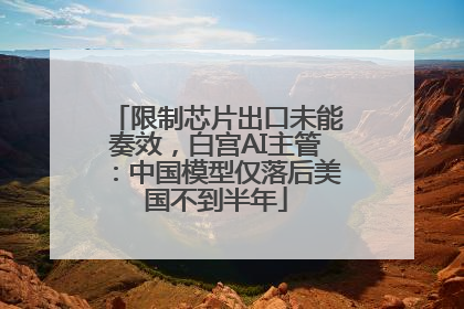 限制芯片出口未能奏效，白宫AI主管：中国模型仅落后美国不到半年