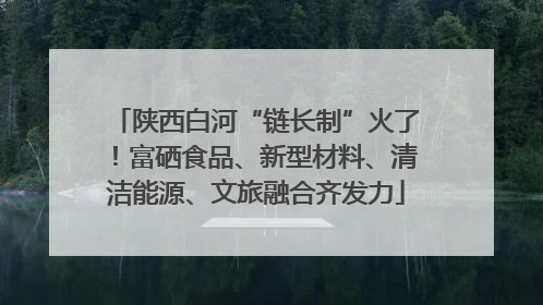 陕西白河“链长制”火了！富硒食品、新型材料、清洁能源、文旅融合齐发力