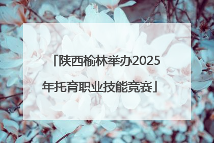 陕西榆林举办2025年托育职业技能竞赛
