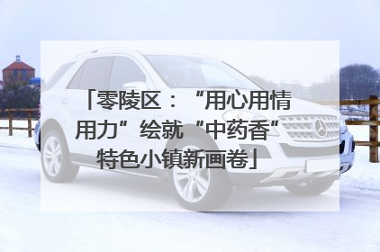 零陵区：“用心用情用力”绘就“中药香”特色小镇新画卷