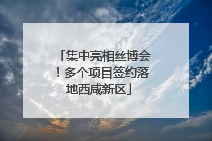 集中亮相丝博会！多个项目签约落地西咸新区