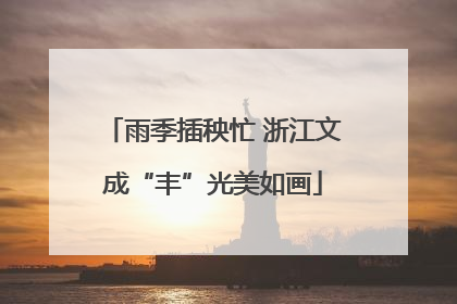 雨季插秧忙 浙江文成“丰”光美如画