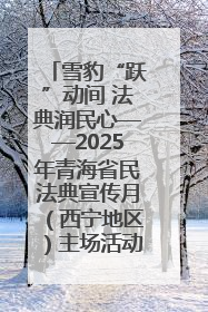 雪豹“跃”动间 法典润民心——2025年青海省民法典宣传月（西宁地区）主场活动见闻
