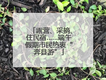 露营、采摘、住民宿……端午假期市民热衷“奔县游”