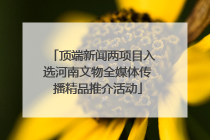 顶端新闻两项目入选河南文物全媒体传播精品推介活动