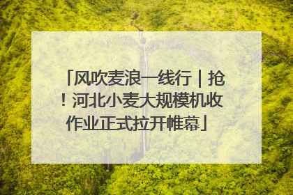 风吹麦浪一线行｜抢！河北小麦大规模机收作业正式拉开帷幕